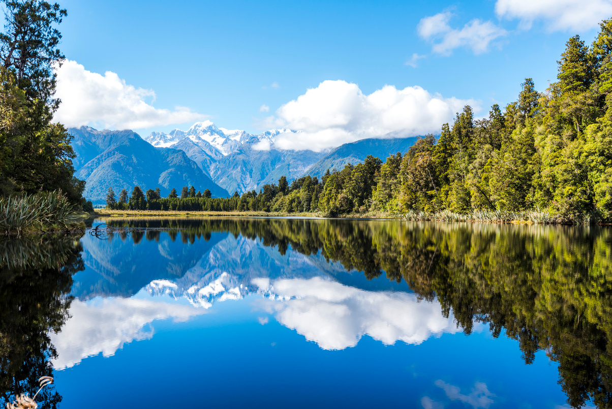 Lake Near Forest