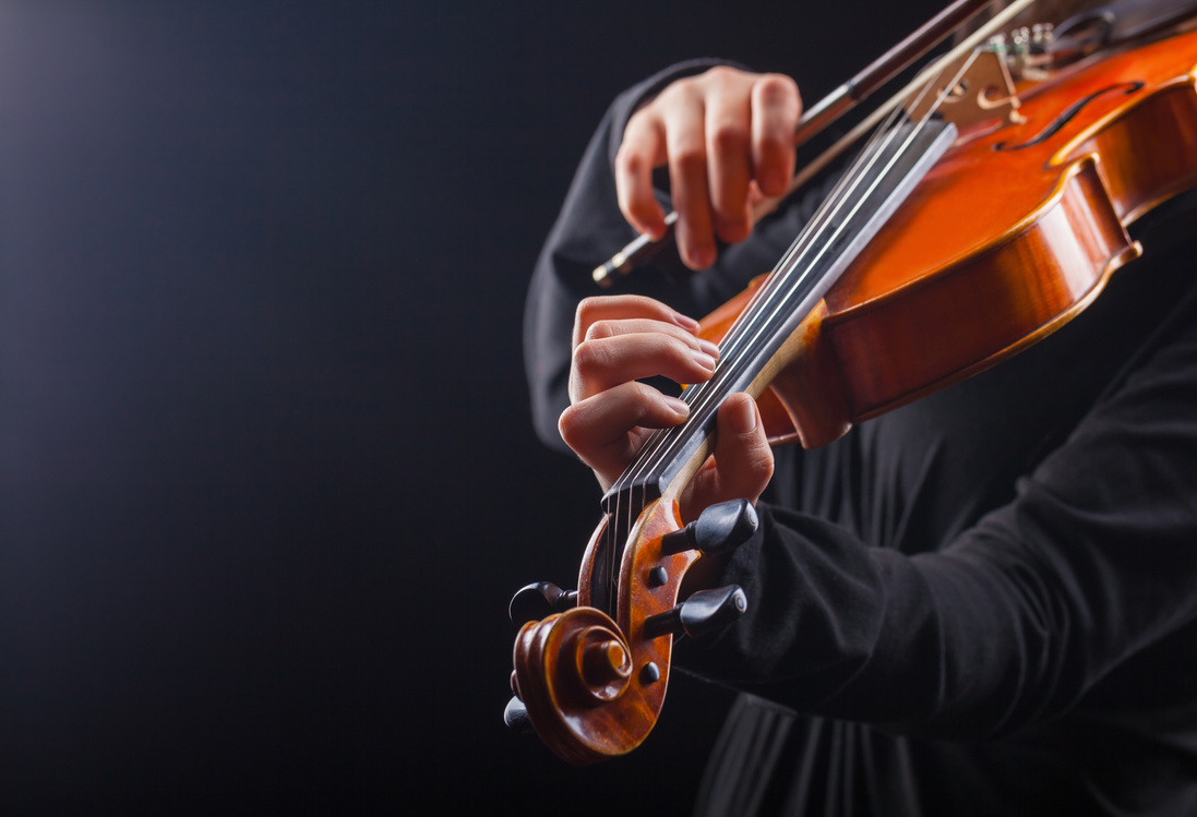 Violin
